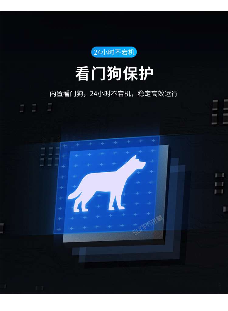 模擬量數(shù)據(jù)采集器-看門狗保護(hù)
